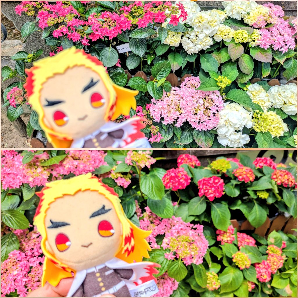 美和 tweet media