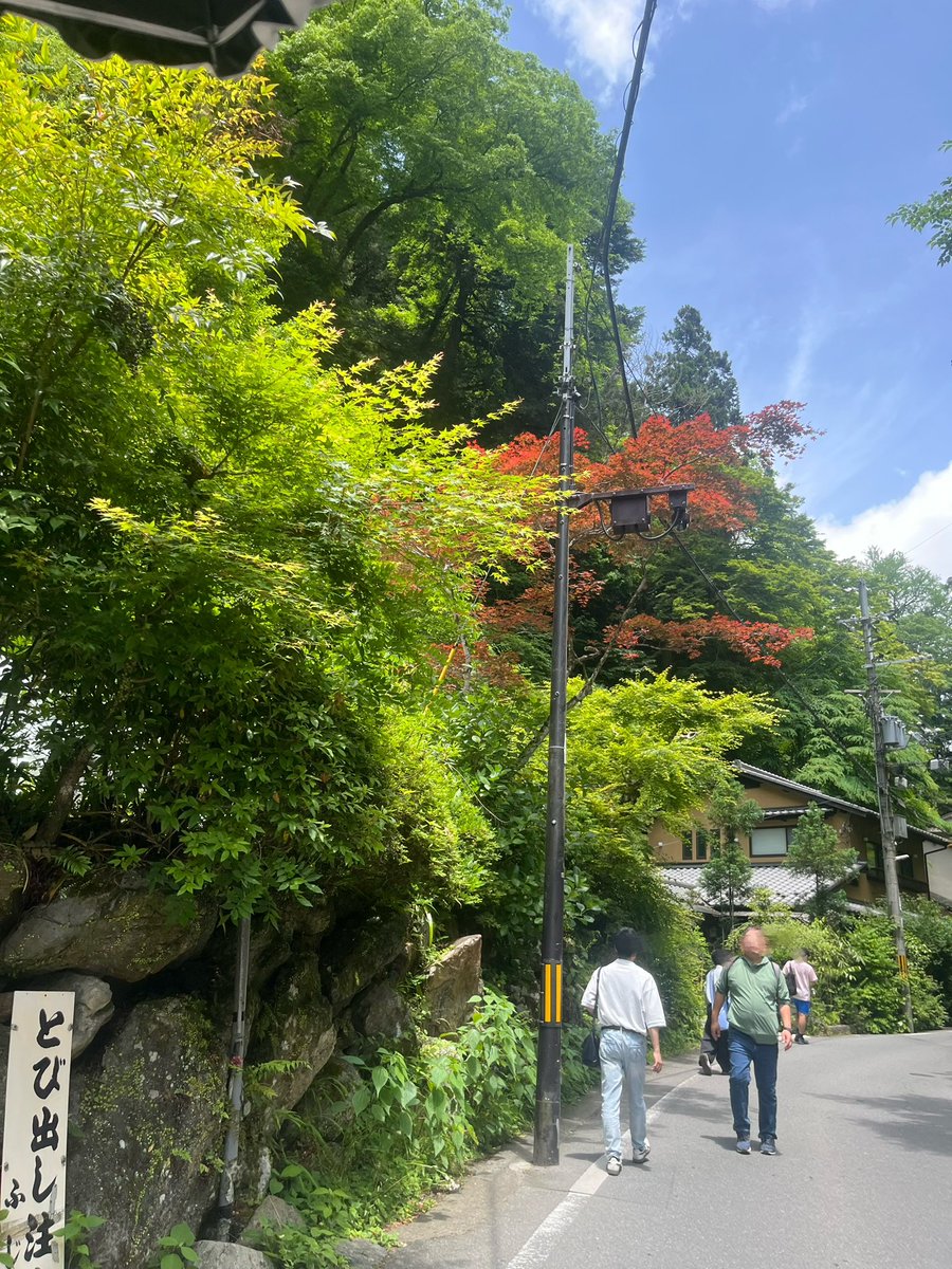 cvpp_lmm's tweet photo. 夏、т   ̫  т https://t.co/GBjbwm3Fev