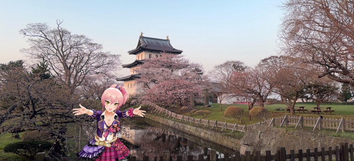 Nikon006's tweet photo. 北海道春の花畑祭り
①上湧別チューリップ公園
②安平町の菜の花畑
③遠軽町太陽の丘公園の芝桜
④松前城の桜

#北海道ドライブ 
#城ヶ崎美嘉
#デレスポAR https://t.co/qok4WTwcV7