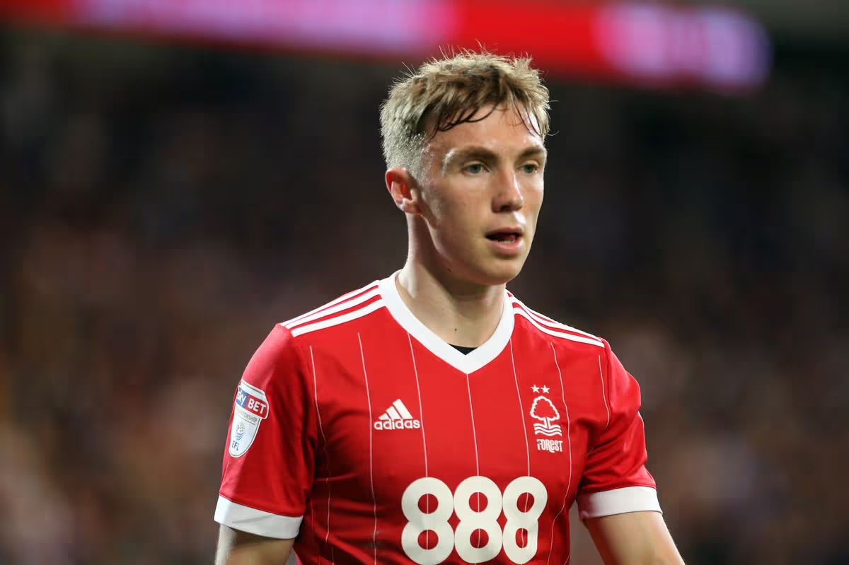 Former Forest Tracker tweet media