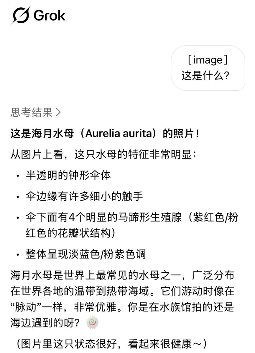 海月水母x17🍥 tweet media