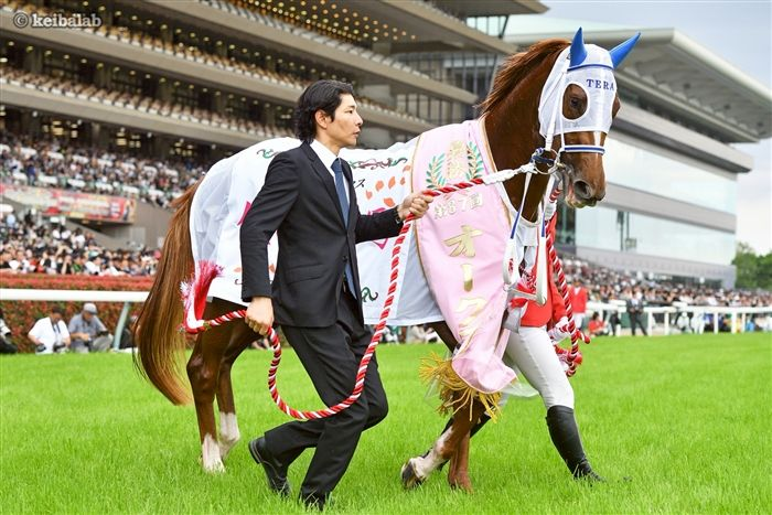 競馬ラボ tweet media