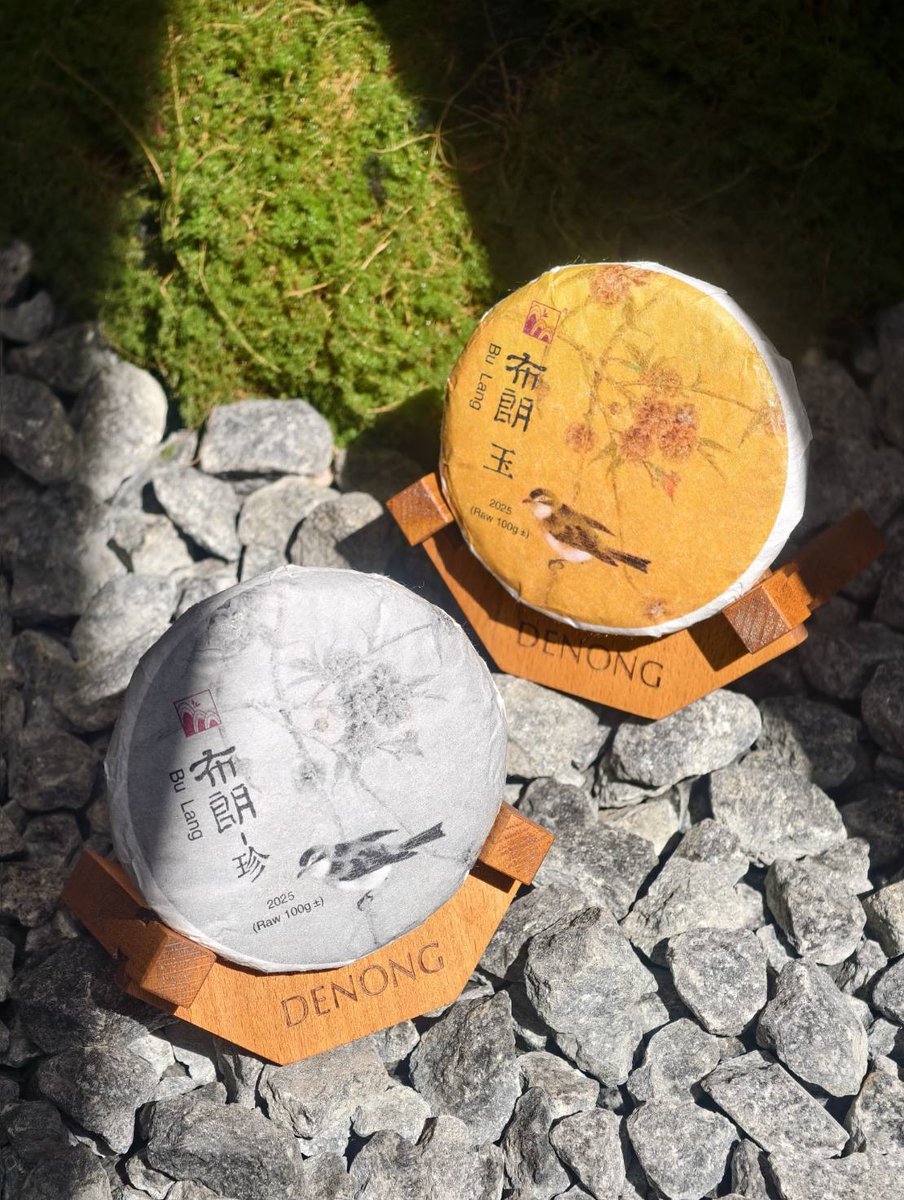 DenongTea's tweet photo. With each sip of the Bulang Raw, flavor develops in the most alluring and delightful way.  As your mouth is immersed in the complexity of the tea, your senses become engaged with the layers of aroma. https://t.co/151Ky1ubmu