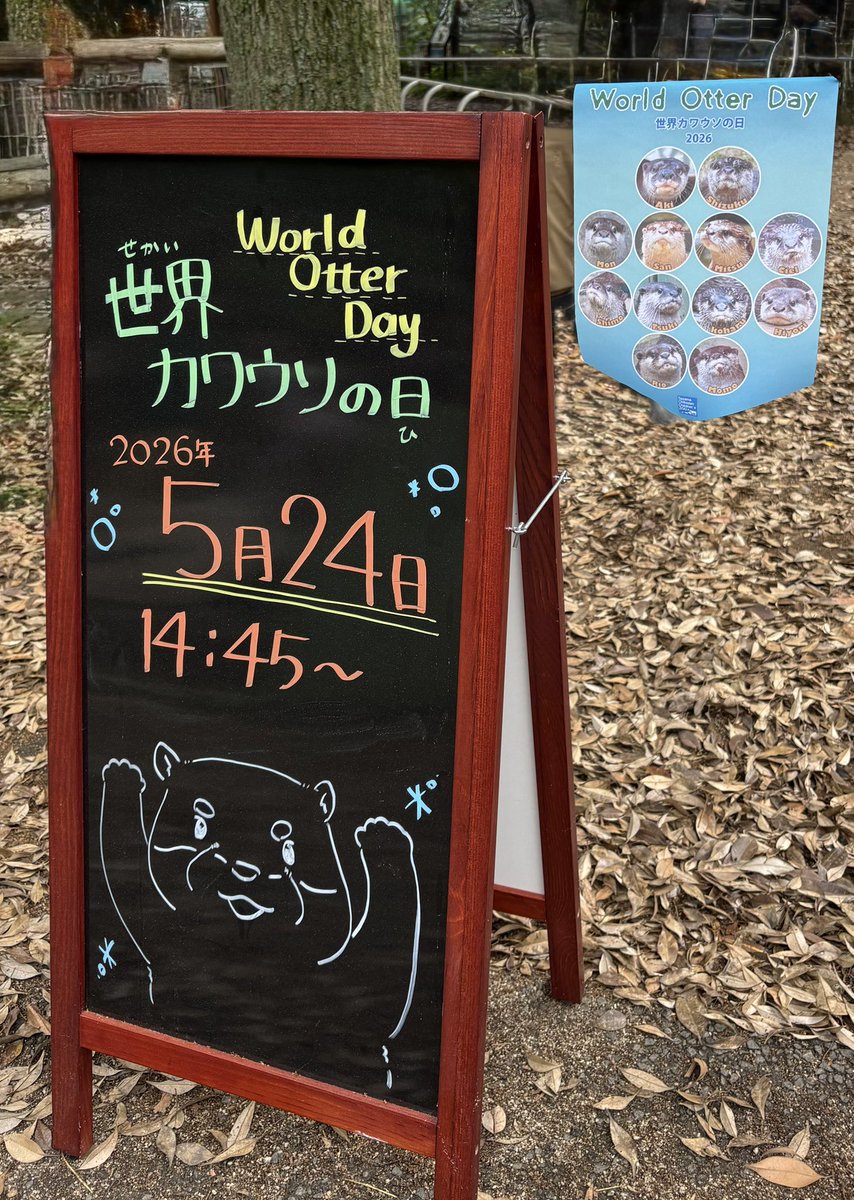 獺のパン屋さん🥐 (@OTTERK4) / Posts / X