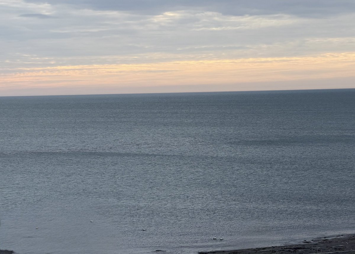 SeaWindowCraster tweet media