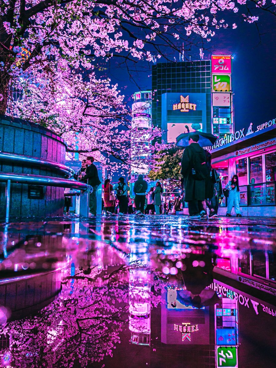 Tokyo Japan 🇯🇵 tweet media