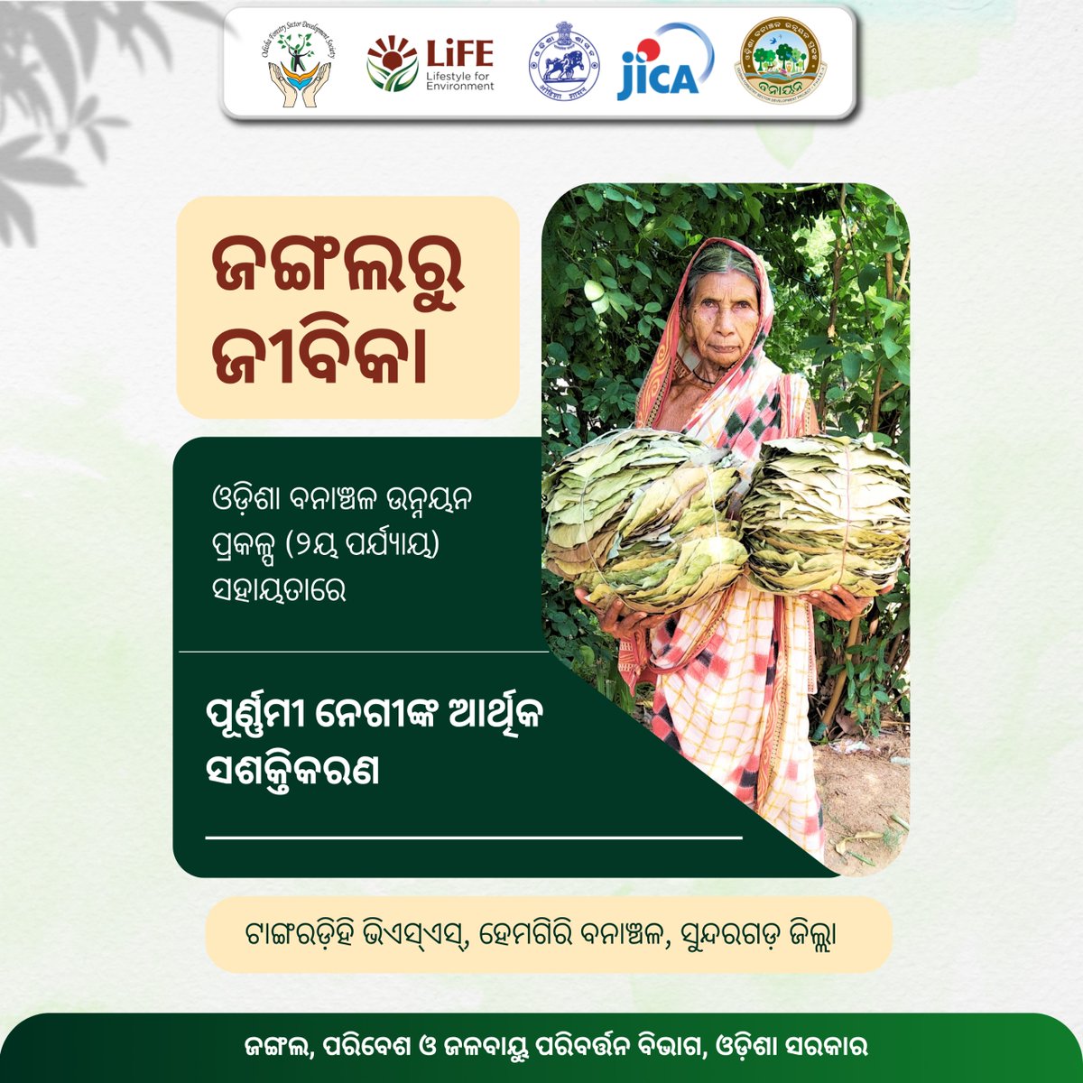 OFSDS_Projects's tweet photo. ସୁନ୍ଦରଗଡ଼ ଜିଲ୍ଲା ହେମଗିରି ବନାଞ୍ଚଳ ଅନ୍ତର୍ଗତ ଟାଙ୍ଗରଡିହି ବନ ସୁରକ୍ଷା ସମିତିର (ଭିଏସ୍‌ଏସ୍) ସଦସ୍ୟା ପୂର୍ଣ୍ଣମୀ ନେଗୀ ଶାଳପତ୍ରରୁ ଖଲି ଓ ଦନା ପ୍ରସ୍ତୁତ କରି ପାଇଛନ୍ତି ନୂଆ ଜୀବିକା।

•ଓଡ଼ିଶା ବନାଞ୍ଚଳ ଉନ୍ନୟନ ପ୍ରକଳ୍ପର (ଦ୍ୱିତୀୟ ପର୍ଯ୍ୟାୟ) ପ୍ରୋତ୍ସାହନ
•ଭିଏସଏସ ଆବର୍ତ୍ତନ ପାଣ୍ଠିରୁ ପୂର୍ଣ୍ଣମୀଙ୍କୁ ୫ ହଜାର ଟଙ୍କାର ଋଣ ସହାୟତା
•ଖଲି ଓ ଦନାରୁ ମାସିକ ୪ରୁ ୫ ହଜାର ଟଙ୍କା ରୋଜଗାର କରୁଛନ୍ତି ପୂର୍ଣ୍ଣମୀ

ସ୍ୱାମୀଙ୍କ ପରଲୋକ ପରେ କୃଷି କାର୍ଯ୍ୟ, ଦିନ ମଜୁରି ଓ ବନଜାତ ଦ୍ରବ୍ୟ ସଂଗ୍ରହ କରି ଗୁଜୁରାଣ ମେଣ୍ଟାଉଥିବା ପୁର୍ଣ୍ଣମୀଙ୍କୁ ଏବେ ମିଳିଛି ଜୀବିକାର ନୂଆ ରାହା।

#OFSDP #OdishaForests #SustainableForestry #CommunityDevelopment #Sundargarh

@CMO_Odisha @GaneshRamBJP @ForestDeptt  @IPR_Odisha @SecyChief @DC_Odisha @pccfodisha @jica_direct_en @CAMPAOdisha @DfoSundargarh @DMSundargarh