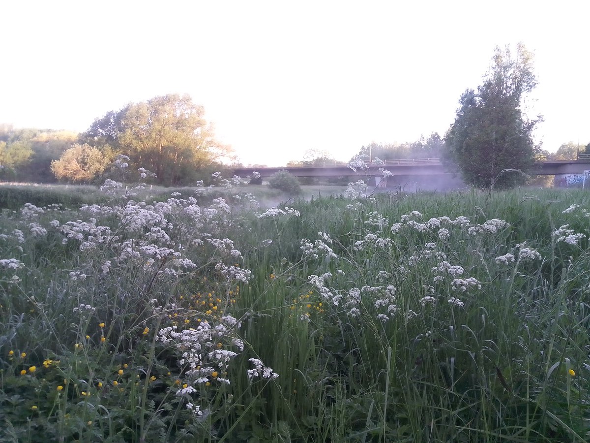 p_warrington's tweet photo. "The mist crawls from the canal / Like some primordial phantom of romance"

Early run to beat the heat, just as the mist was lifting off the water meadows and the Grand Union Canal. https://t.co/QANXHTi55E