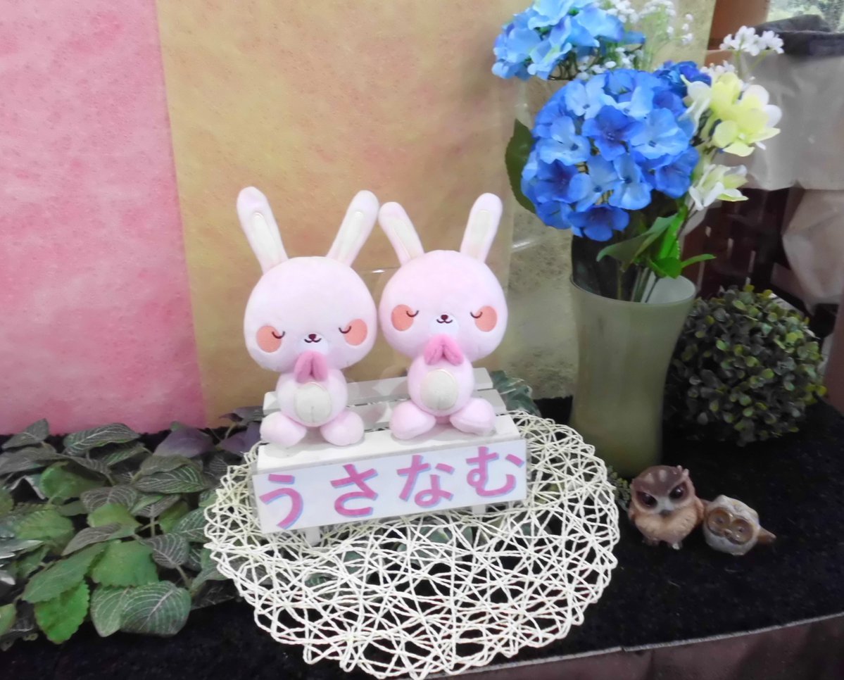 もう少しで梅雨入りですね 苑内の紫陽花が咲き始めており ますあたたか