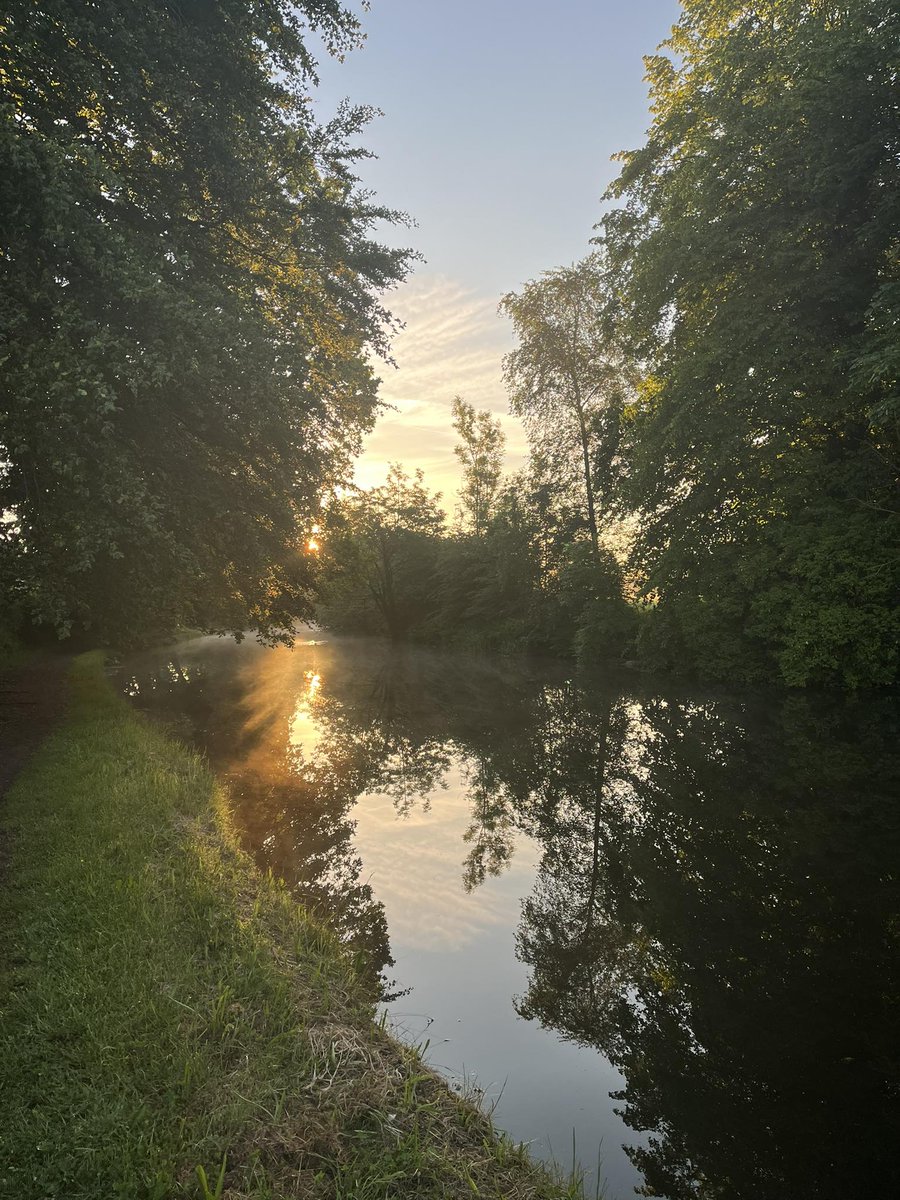 susanleigh1's tweet photo. A heavy overlay of mist across the fields and canal followed by a beautiful sunny start to Sunday. Always a lovely walk with the swans, ducks and geese. #dailywalk #timeinnature #earlymorning https://t.co/hEZ5Hn0nLJ