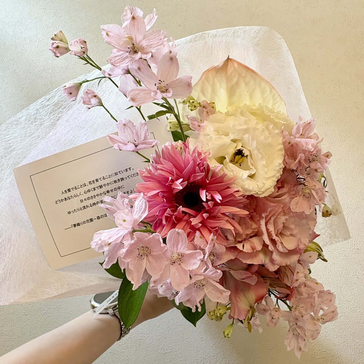 dilaff_ectus's tweet photo. @DreamweavingJP 素敵なお花、届きました✨
お花が長持ちするよう液肥も付属しており、お花を長く楽しむための取扱い方法もあり、お花初心者にも安心だなと思いました。 https://t.co/aai3CFw3f9