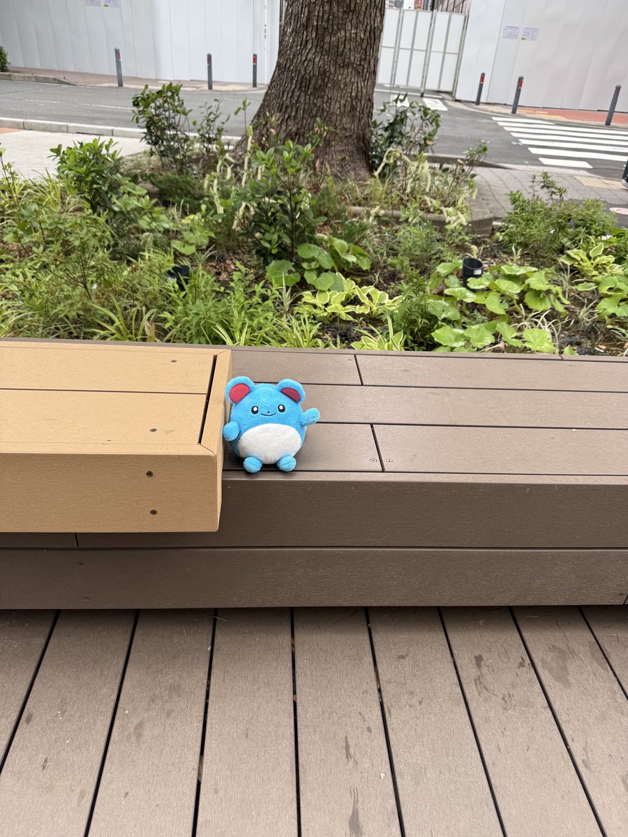 gm00922's tweet photo. 【忘れ物】
#BaseGate 裏庭の椅子に #マリル のぬいぐるみが忘れてあります。お心当たりある方お迎えにきてあげてください。 https://t.co/qmdzHU5Zts