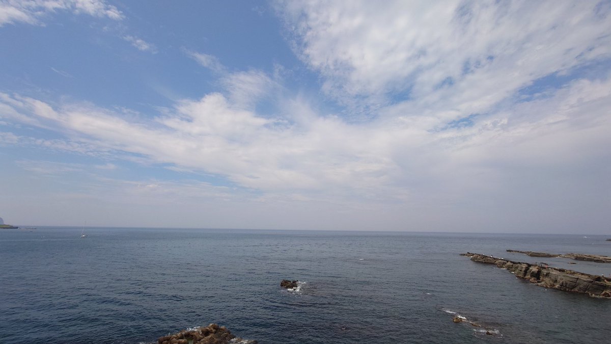 維斯 tweet media