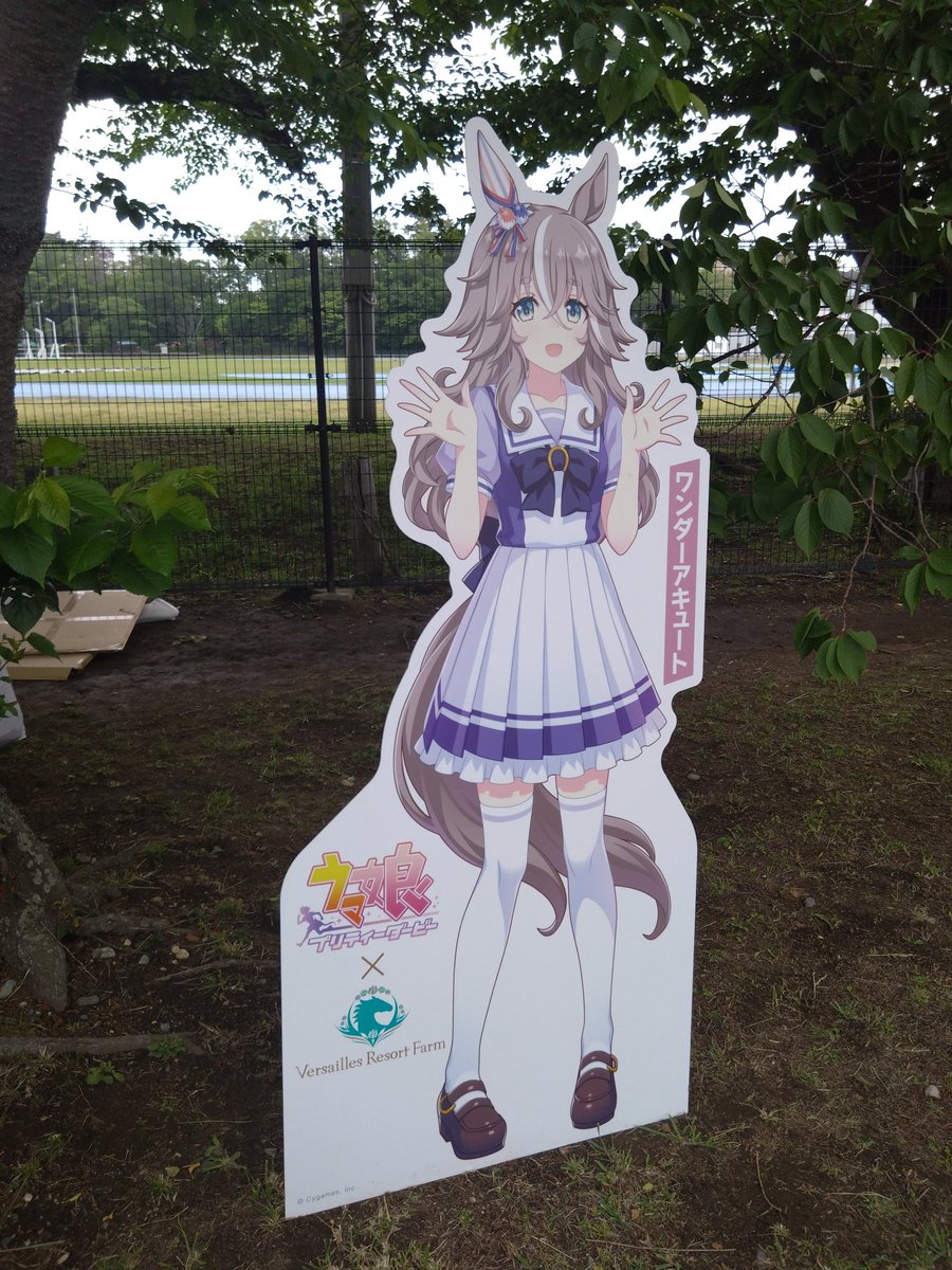 meza_koi's tweet photo. 無事、相馬野馬追観戦終了。帰りにヴェルサイユリゾートファームさんのグッズ販売ブースがあったのでちぃぐるみ野馬追バージョンを購入。本日の流れならアキュートさんを選ぶべきだとは思いますが、福島県民としてはやっぱりトランセンドさんなんですよ。
#相馬野馬追_ウマ娘コラボキャンペーン https://t.co/vghVmxElvE