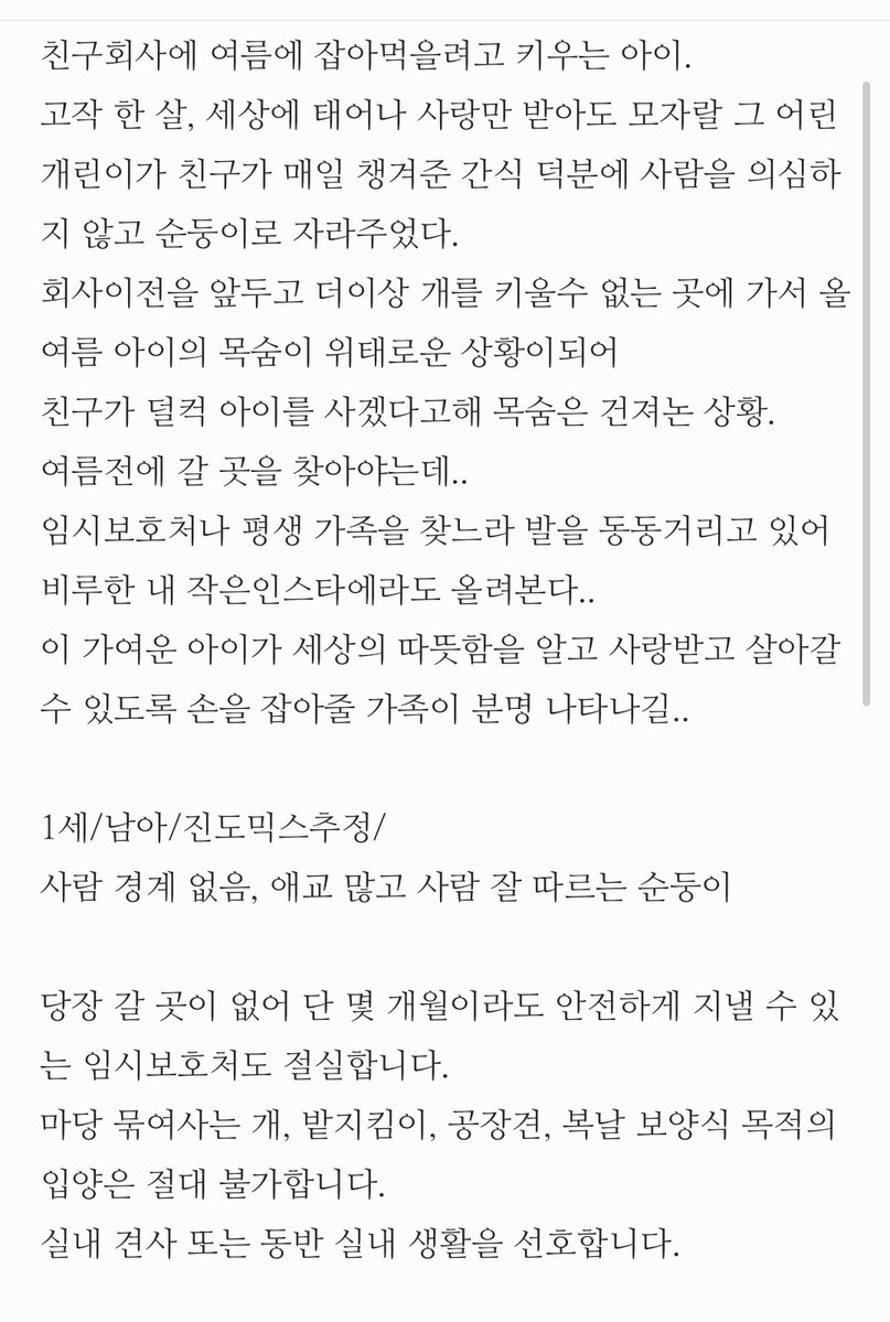 happyjindowoong's tweet photo. 🚨RT 리트윗 공유 부탁드려요
회사에서 잡아먹겠다고 키운 아이 
1살 남아 진도믹스 너무 순둥이라고합니다.
지인분이 살리려고 아이를 사겠다고 해놓았으나 여름 전에 임보처 입양처 나와야한다고 해요

📌010-5344-7694
인스타: @myway_7694

#rt부탁드립니다 #방치견 #공유부탁드려요 https://t.co/QTzdy2goMi