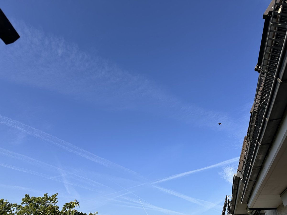GTellerrand's tweet photo. Es ist nicht eine Wolke am Himmel, aber wunderschöne Streifen und Karos. Wie kann man so etwas nicht wahrnehmen? Und wie kann man so etwas als normal ansehen? https://t.co/qHdaKAY9Us