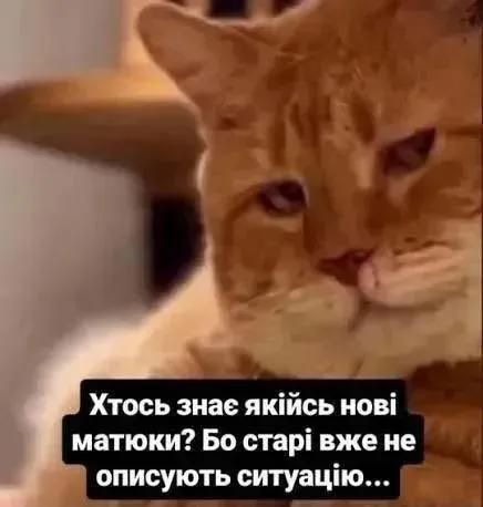 сірьожа, ну блядь tweet media