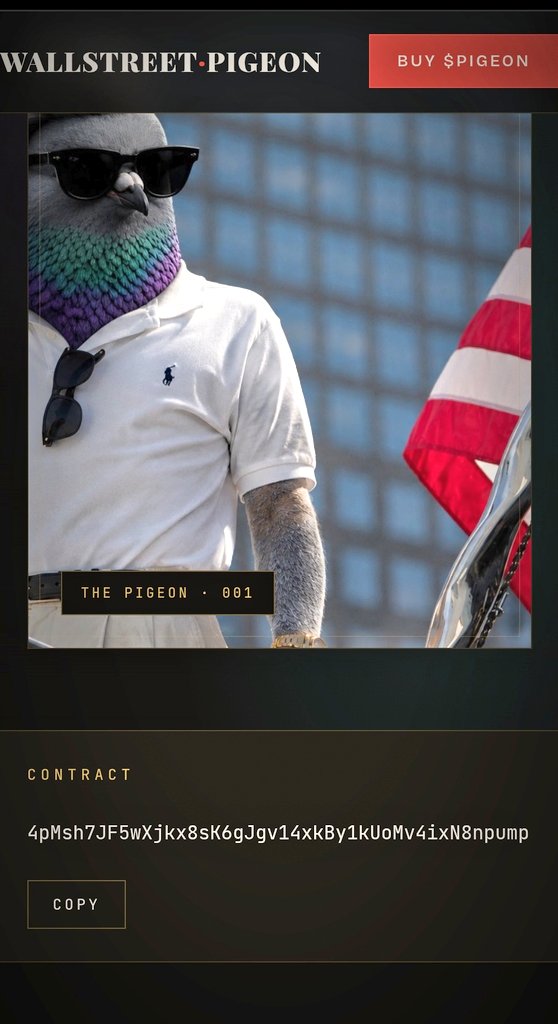 Wall_StPigeon's tweet photo. Pigeon chad working on official website. Once community reviews will update dex socials. Stay tuned 4pMsh7JF5wXjkx8sK6gJgv14xkBy1kUoMv4ixN8npump locked tf in. For the culture. https://t.co/Lm9gkKwa3A