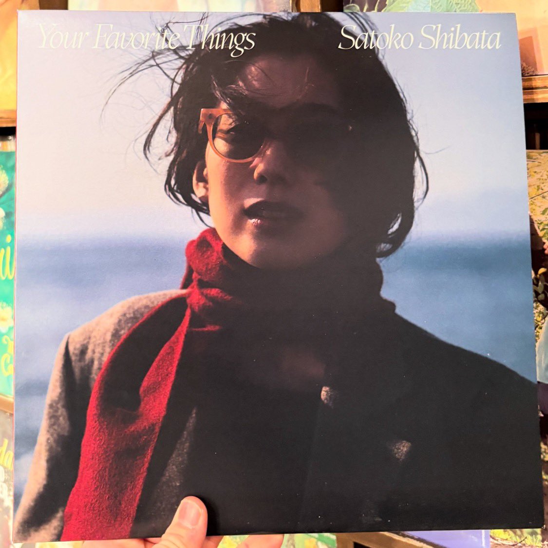 柴田聡子 / Your Favorite Things LP入荷🎉 アナログ盤再入荷しました✨