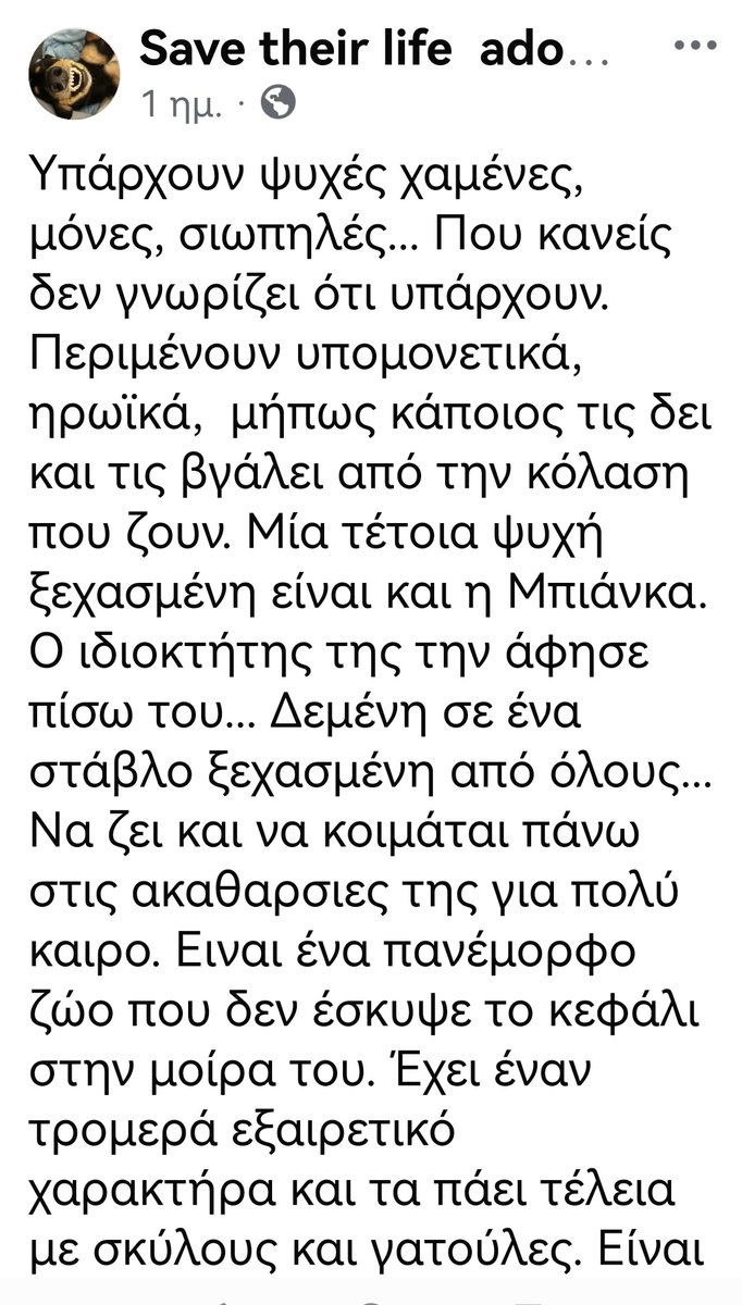 Christinaliroudia tweet media