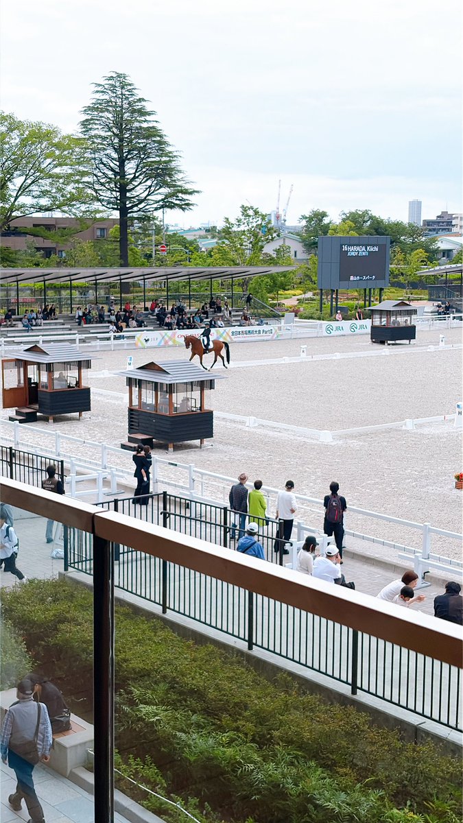 uchidashige's tweet photo. 数年ぶりに馬事公苑に来たらすごく綺麗になっててビックリ。
馬場競技してた。

久しぶりに馬に乗りたくなりました🐴 https://t.co/DhGaVVyNNR