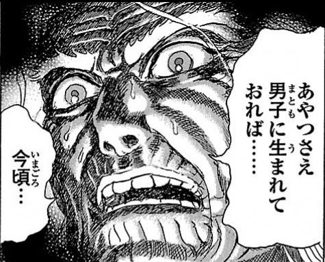 カリコテリウム tweet media