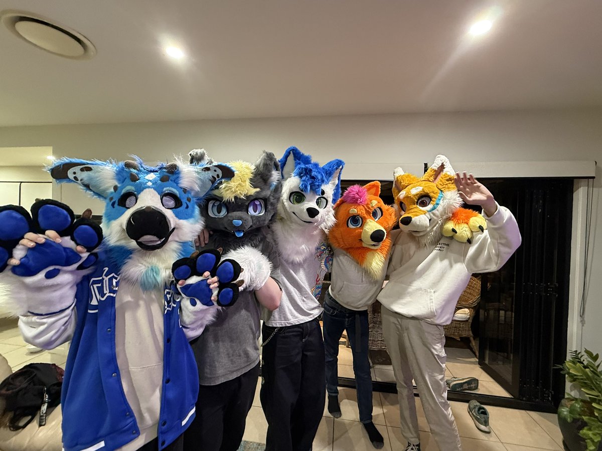MajorlyFoxed's tweet photo. Had a bunch of fuzzies over last night here’s a good photo I got with a few of them :3 https://t.co/K6DoVTGwxm