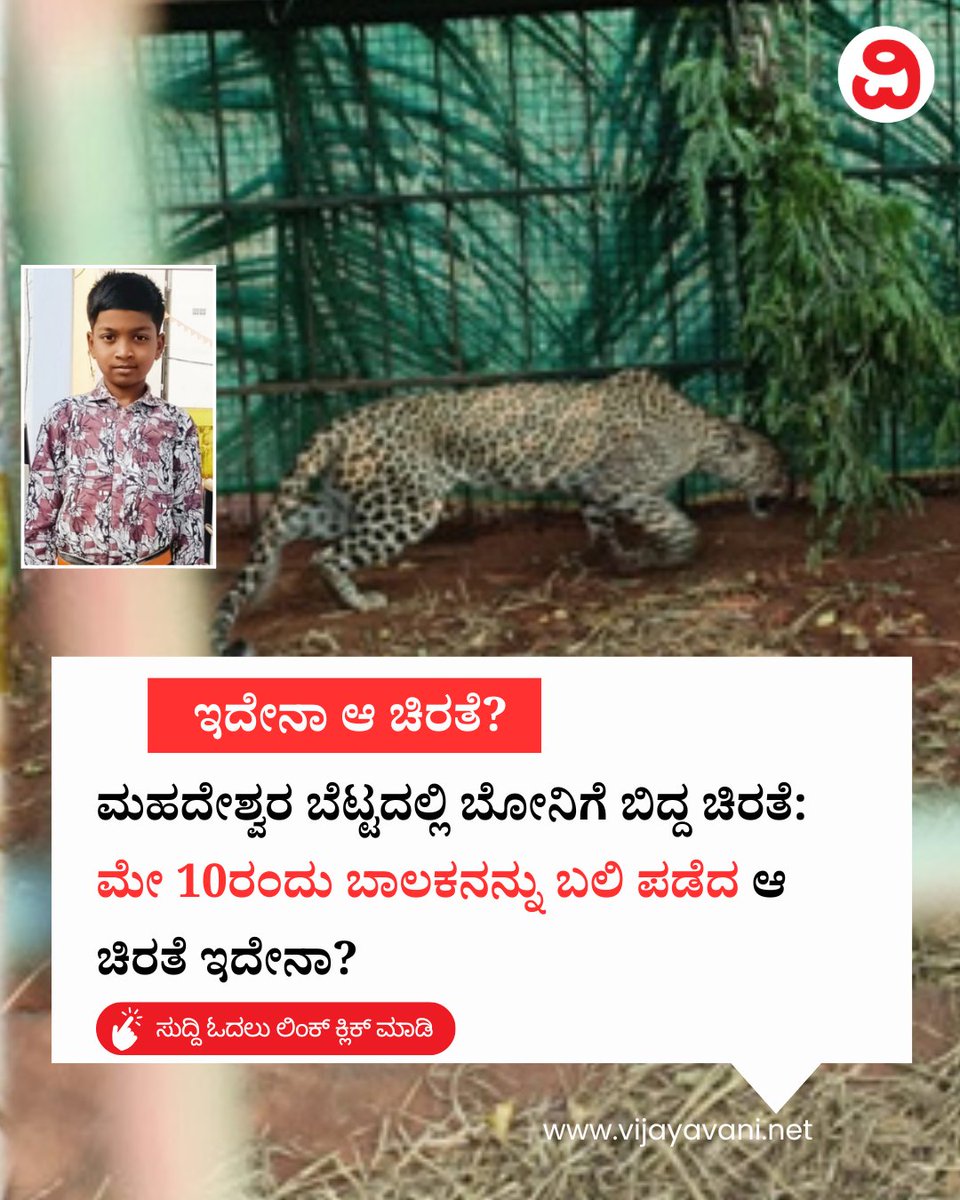 Vijayavani_Digi's tweet photo. ಮಹದೇಶ್ವರ ಬೆಟ್ಟದಲ್ಲಿ ಬೋನಿಗೆ ಬಿದ್ದ ಚಿರತೆ: ಮೇ 10ರಂದು ಬಾಲಕನನ್ನು ಬಲಿ ಪಡೆದ ಆ ಚಿರತೆ ಇದೇನಾ? Leopard Caught
#LeopardCaught #LeopardAttack #MMHills #Nagamale #LeopardAttackTeenBoy #KannadaNews #VijayavaniNews
https://t.co/RUcmI3niu9 https://t.co/fedaohjRh7