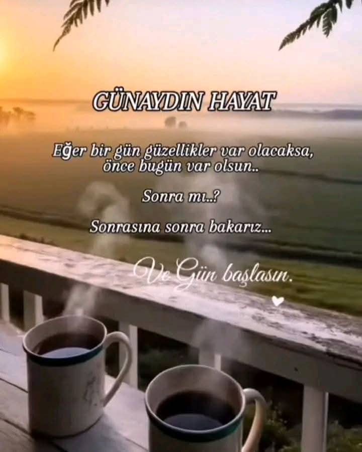 Gül Haluk tweet media