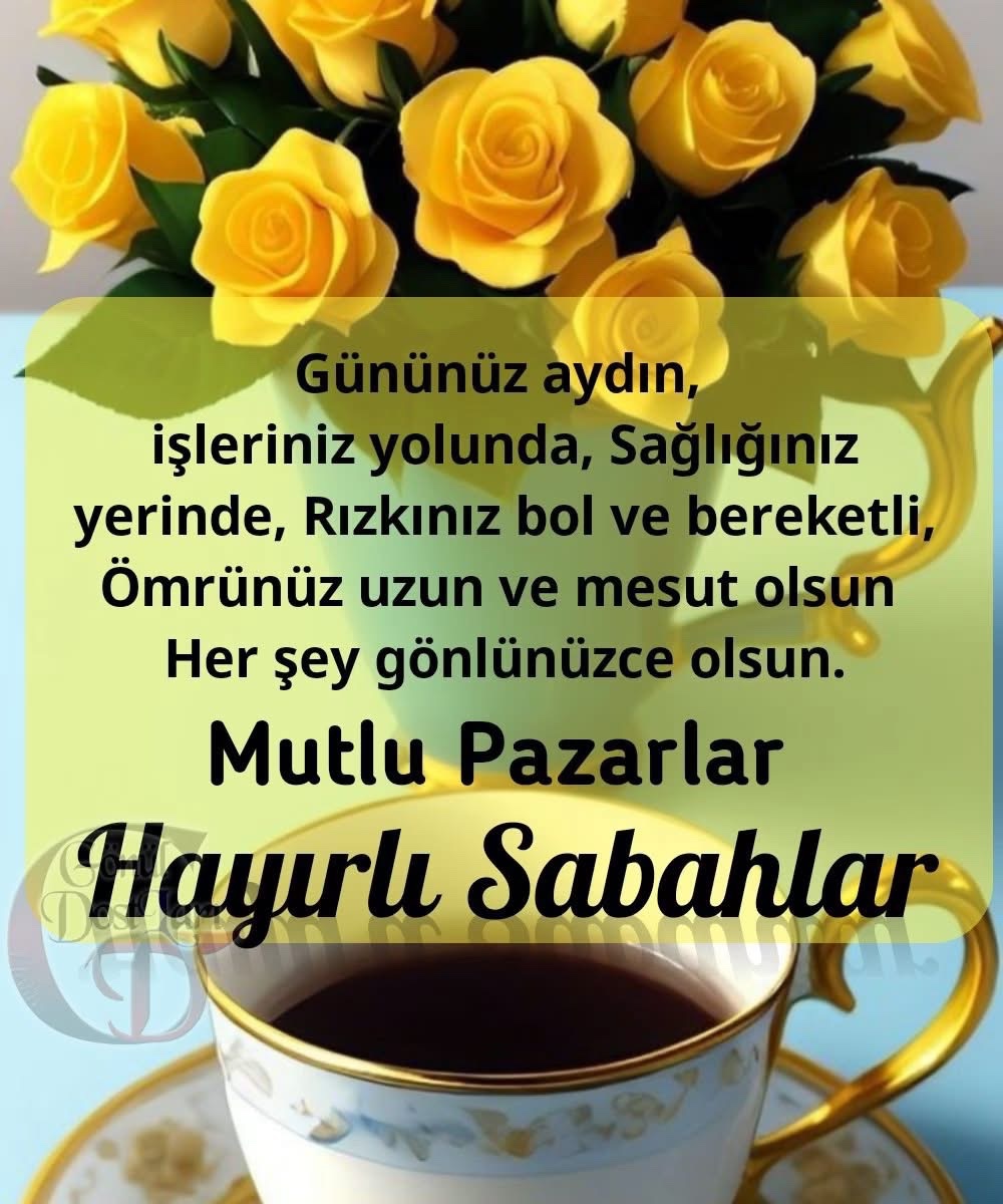 Memo 🇹🇷 tweet media