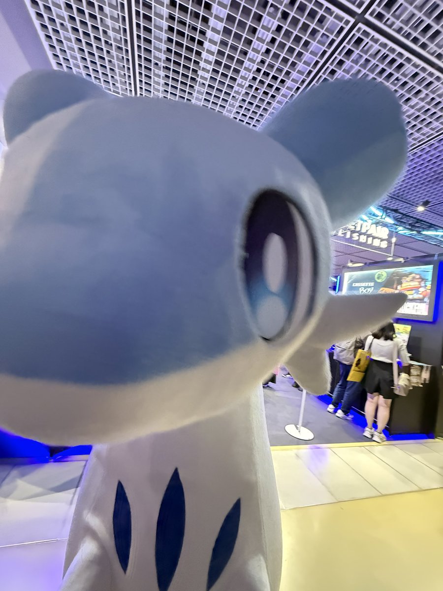 たにゃか たにゃか 🦈( '-' 🦈)ｻﾒｯ (@Tanyaka3919) / Posts / X