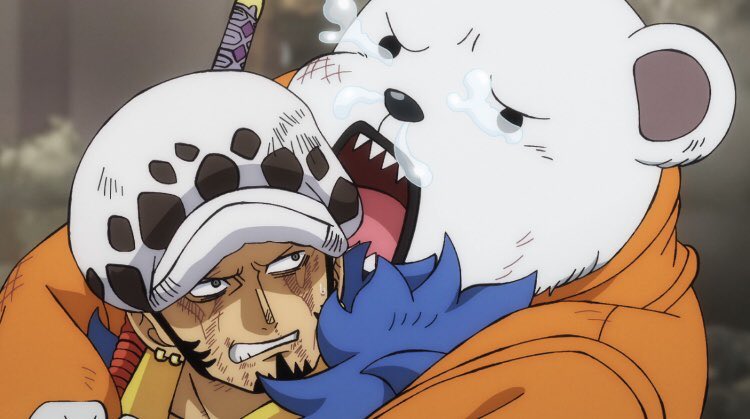 angela ♡ shanks tweet media