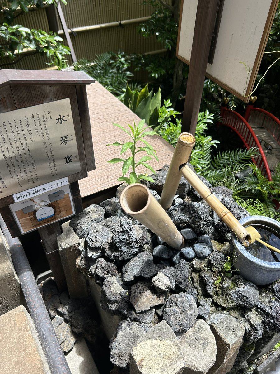 神社仏閣御朱印巡り。toku -徳 tweet media