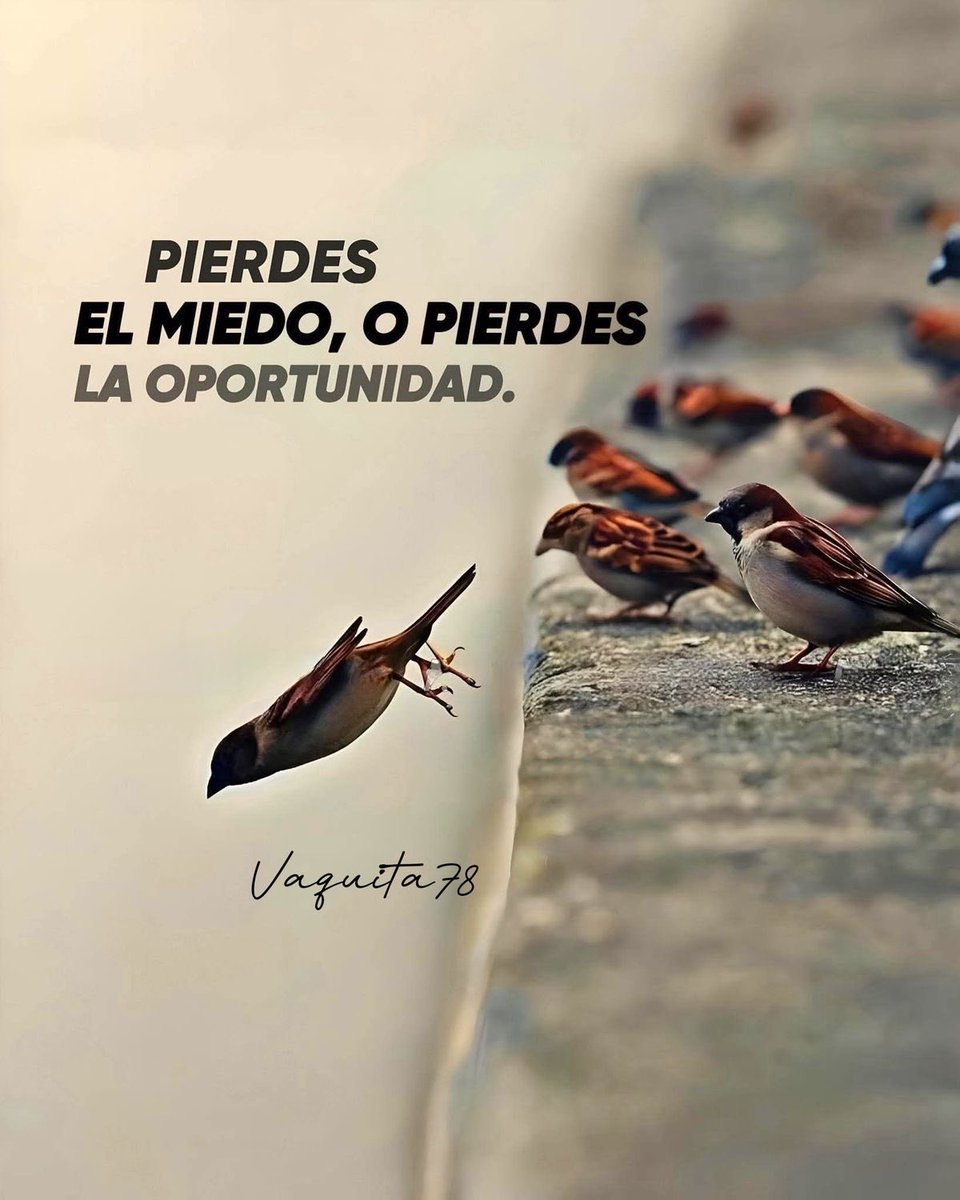Vive con Propósito. tweet media
