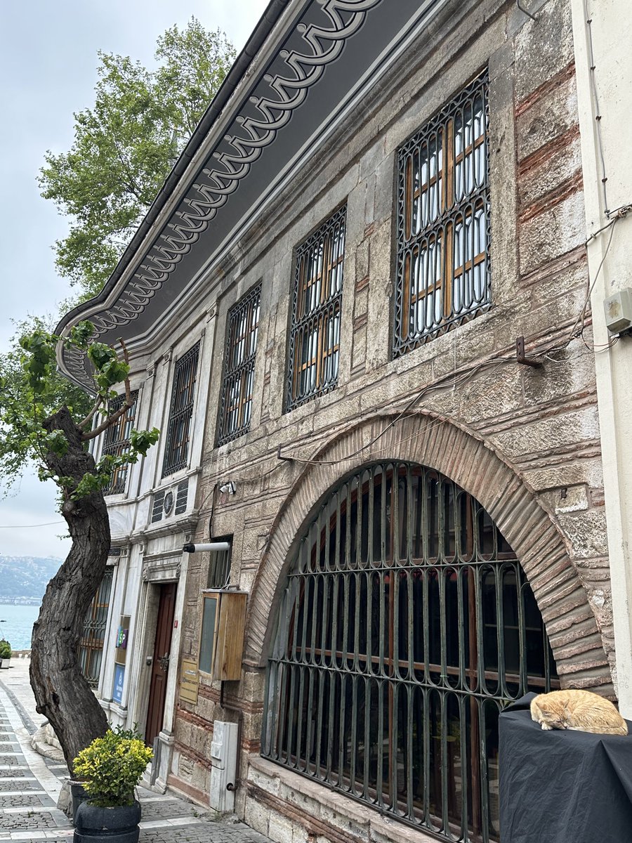 önder kaya istanbul gezgini tweet media