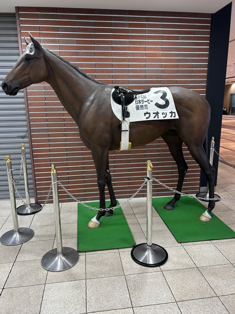 スシヤー&タムタム tweet media