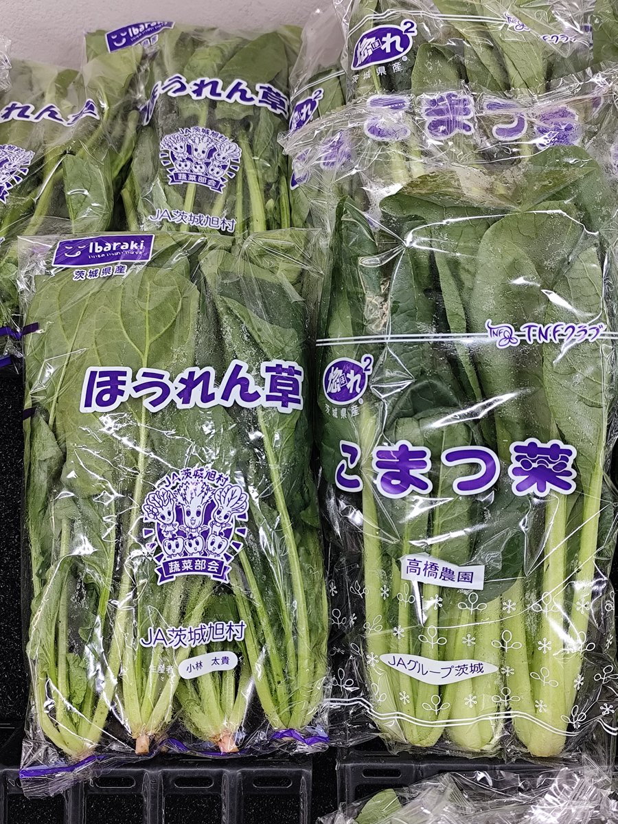 肉じゃが tweet media