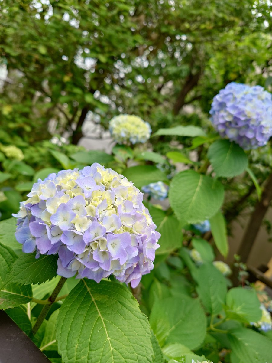 まど tweet media