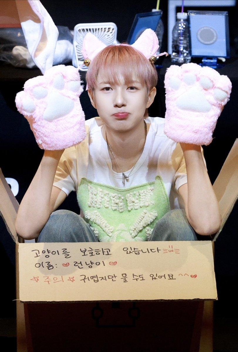 옐런 tweet media