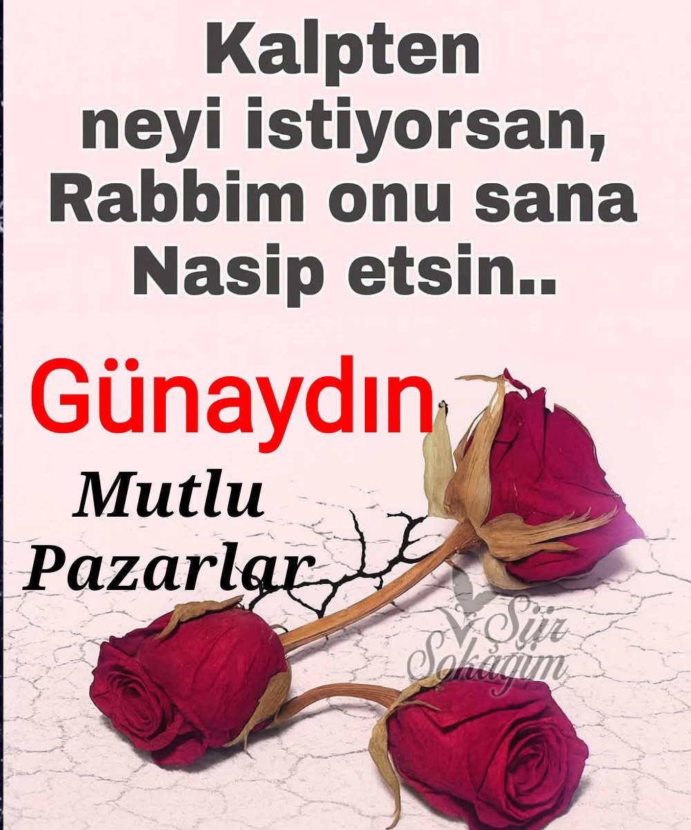 Fevzi tweet media
