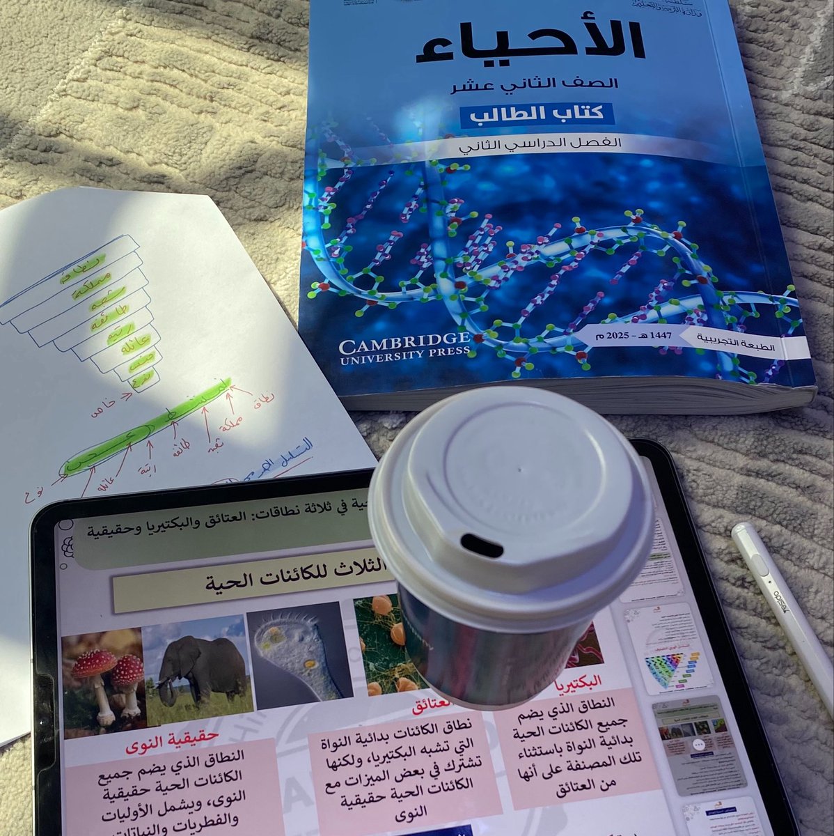 _b0ex8's tweet photo. لِيت اللّيت ، يَكُّن🪷 https://t.co/sLYmb7C9tx