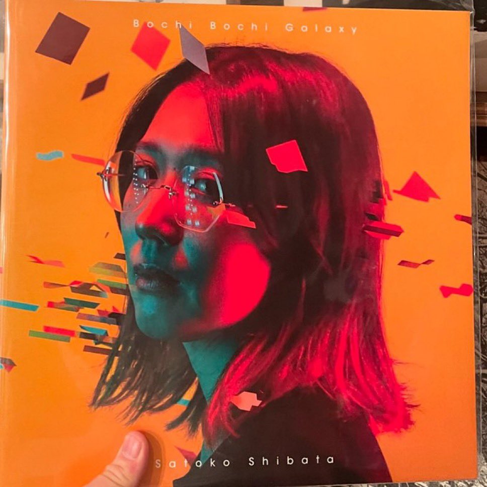 柴田聡子 / ぼちぼち銀河 LP入荷🎉 ぼちぼち銀河も再入荷しました✨
