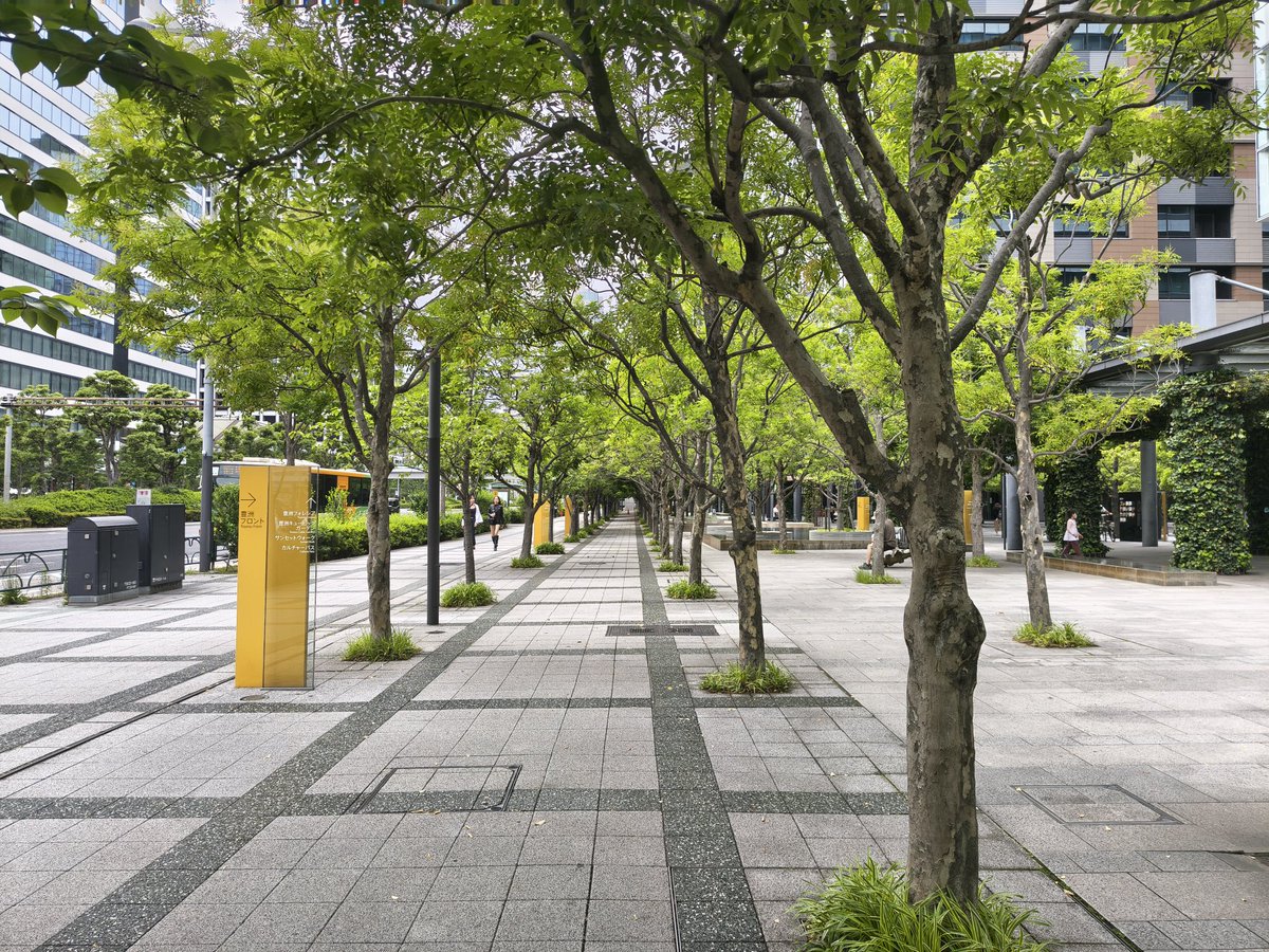 湾岸安全 tweet media