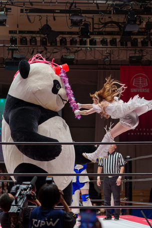 Quakerz's tweet photo. @Villagers231 Andreza Giant Panda! i think there's only one person inside the costume. https://t.co/m9KN8PT4ZX