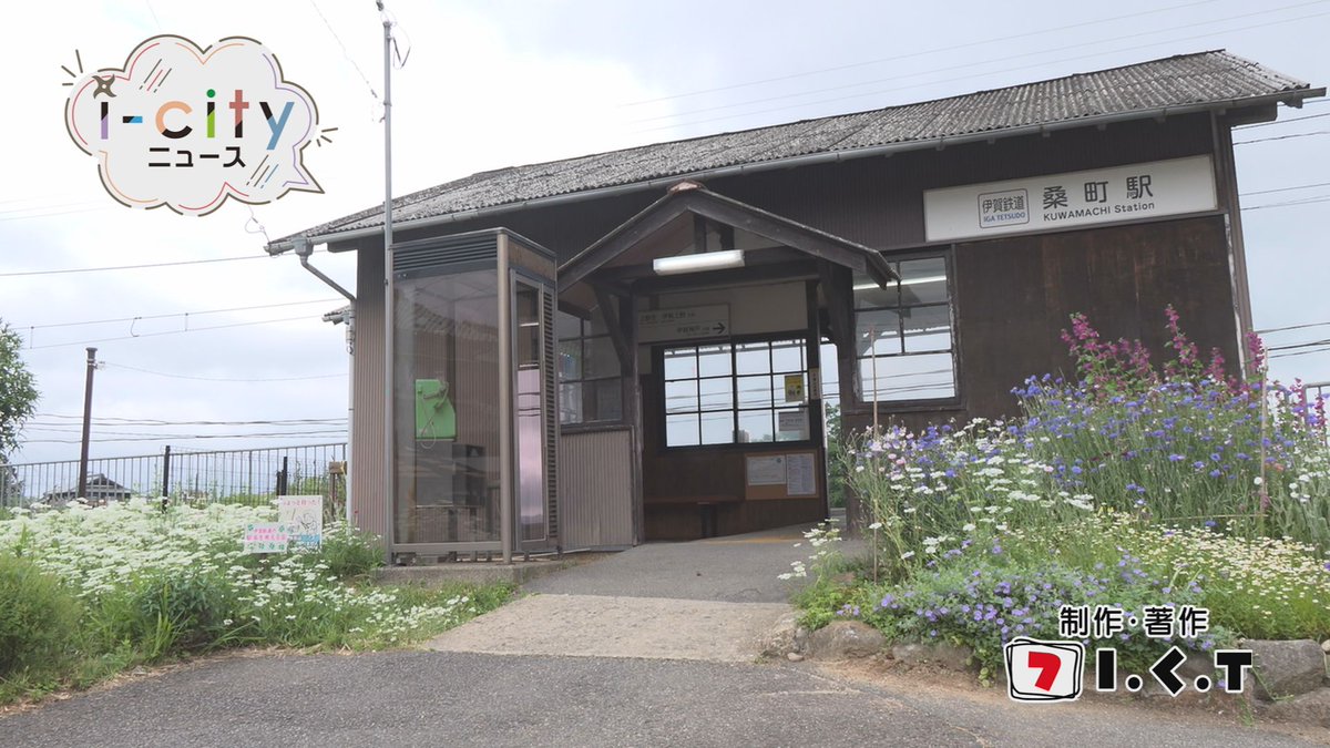 ict7ch's tweet photo. 【i-cityニュース5/24号】
●猪田地区住民自治協議会
　イマドキ農業見学＆田植え体験🍙
●HANANE NO UTAGE🌻🌸🌺
　5月29日から31日開催
●伊賀鉄道の駅舎を彩る花
　今年も咲き誇る
●摂津守さん執筆📚🏯
「高虎三部作」完結編出版イベント
●西尾俐那個展-未成年-
初回放送は午後7時から！ https://t.co/Q0UiVTvvO1