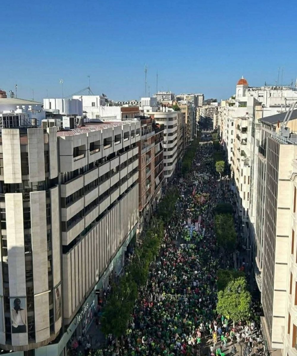 Begoña Sánchez tweet media