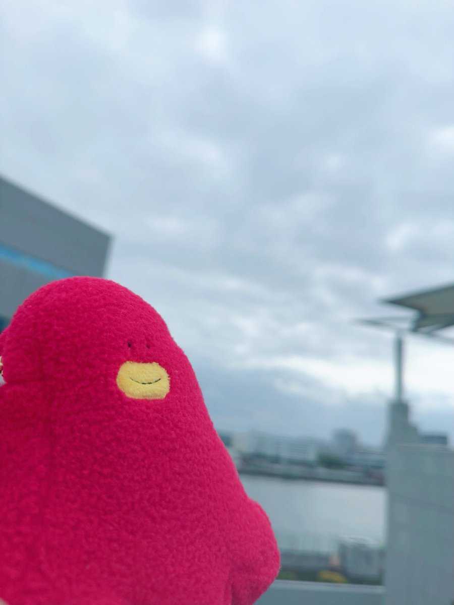 きみとろ tweet media