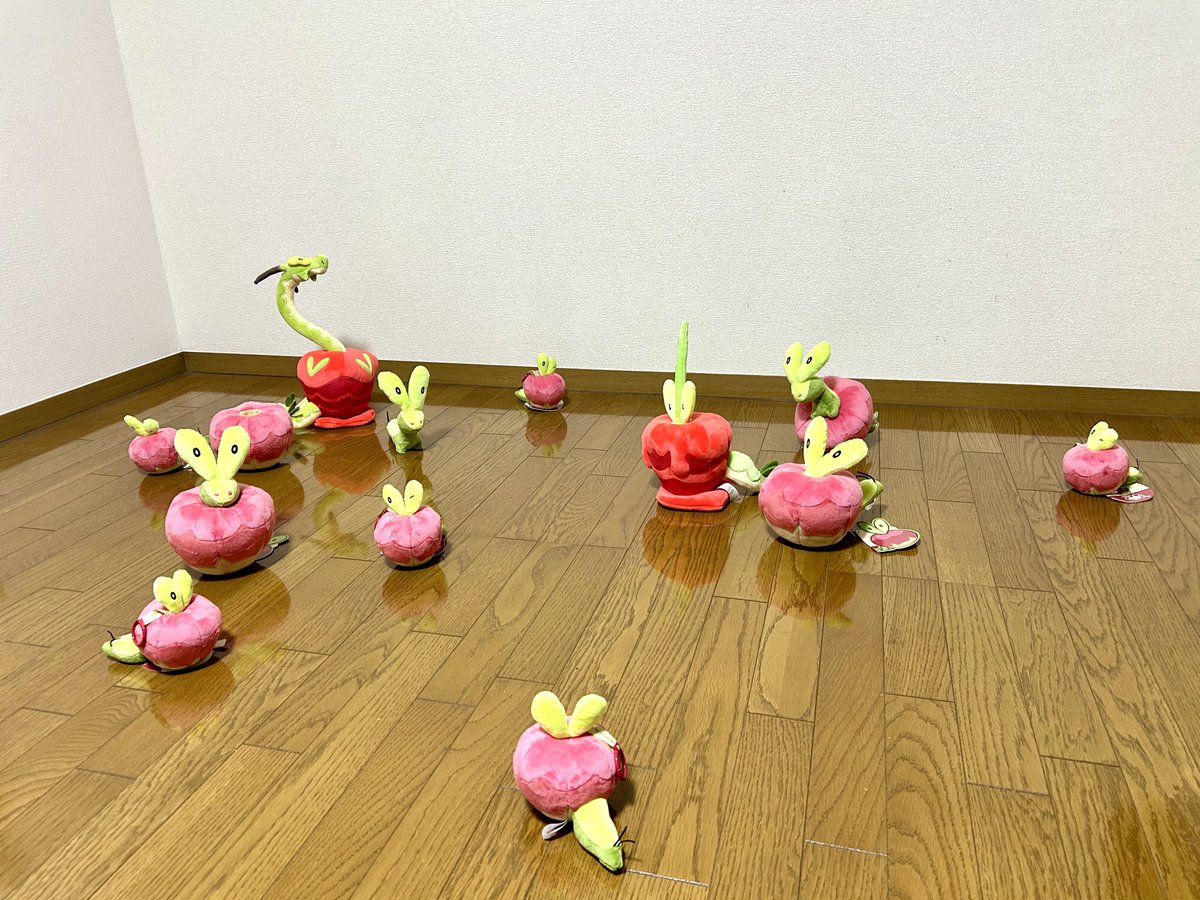 津軽産あっぷる🍎 tweet media