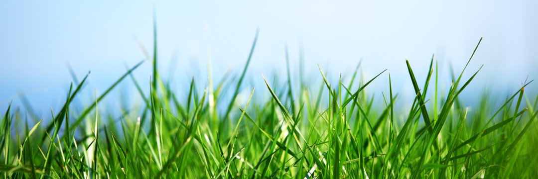 Cryptobilbuwoo0's tweet photo. Sunglass 😎
Green Grass✅️
Is Binance Riddler? https://t.co/ghSInYvgr2
