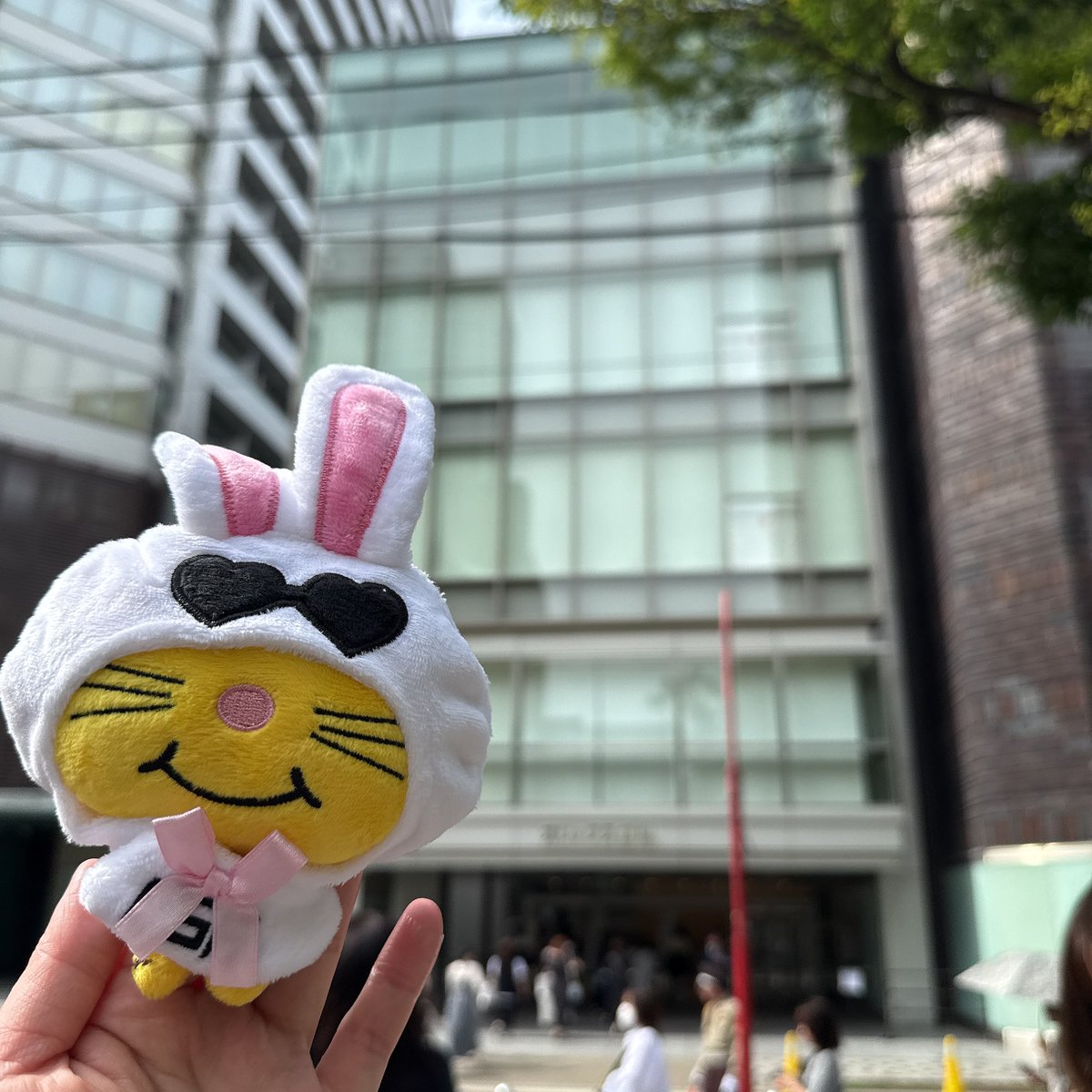 ksty_tmr's tweet photo. 本当にピント問題が難しい。 https://t.co/gZikFX0Ns8